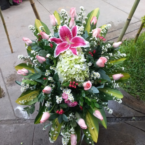 Elegante Lágrima Fúnebre de 24 rosas fuccia y 24 Rosas blancas